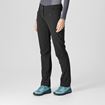 Picture of SALOMON - WAYFARER PANTS W